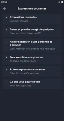 French Conversations - French android App screenshot 2